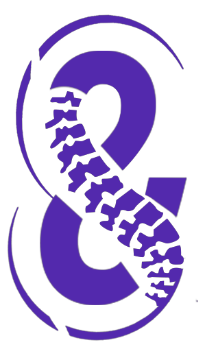 Spine & Stability logo